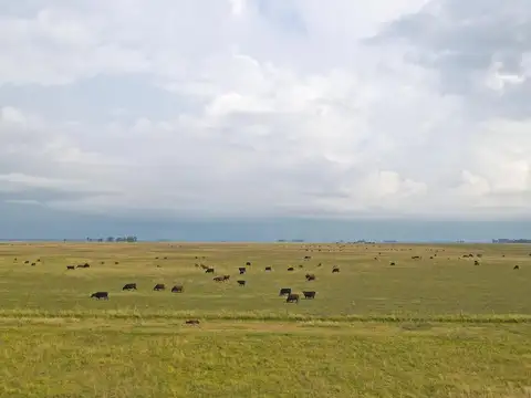 Olavarria - 907 ha. Ganadero