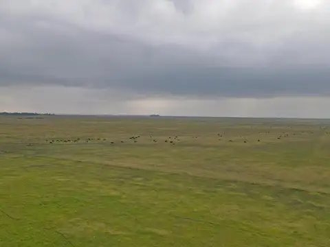 Olavarria - 907 ha. Ganadero