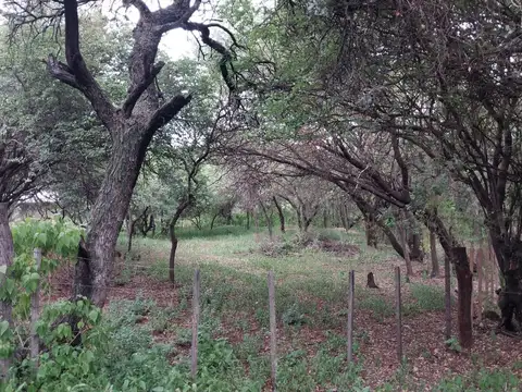 Terreno en Las Chacras