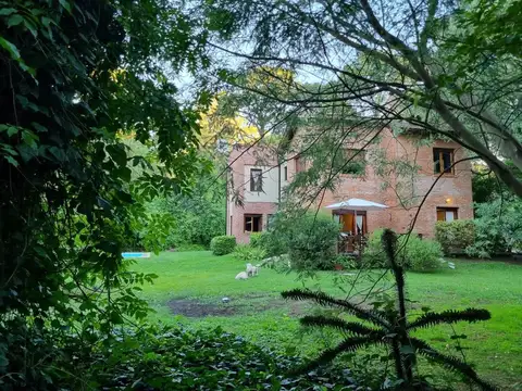 Los Araucanos & Mangore 100