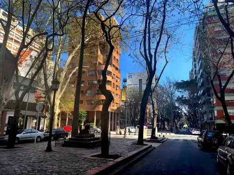 Avenida General Indalecio Chenaut 1700