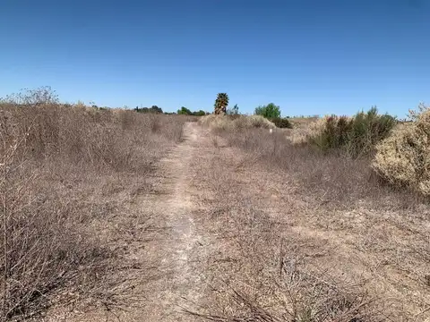 Terreno en Venta en Colonia Segovia, USD 34.000