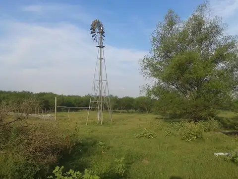 Campo - Costa Del Uruguay