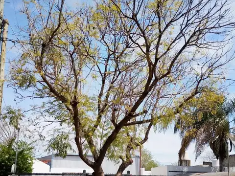 Galpón comercial en venta  Ituzaingó norte