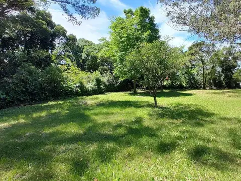 Calle C González Segura 1400