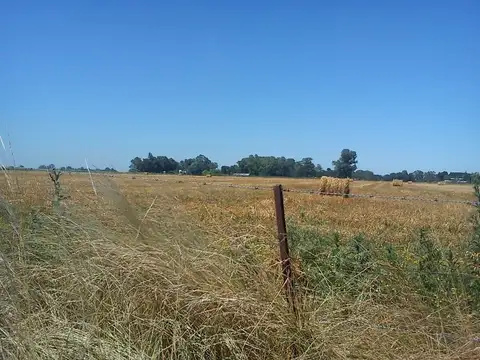 Campo en Venta Mixto