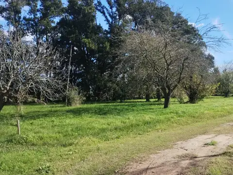 Terreno en Venta en La Plata, USD 10.000