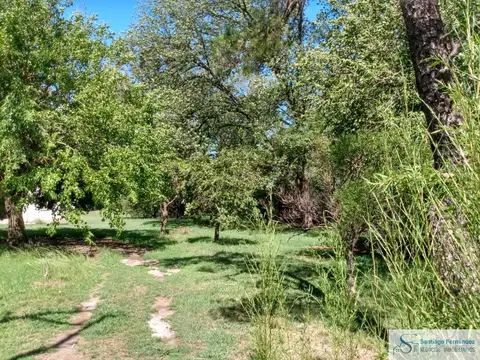Terreno en Alquiler 50  mts Fondo