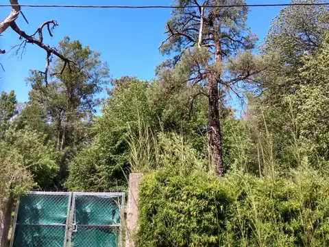 Terreno / Lote en alquiler de 3750m2 ubicado en Villa Rosa