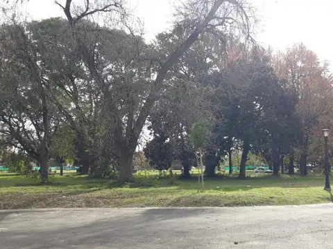 Terreno en Venta 19  mts Fondo