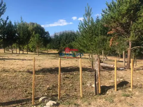 Las Golondrinas