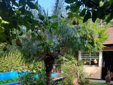 Depto Tipo Casa en Venta de 1 dormitorio