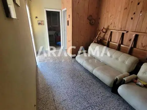 Ameghino 236