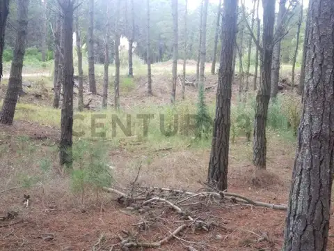 Terreno en Venta de 892,0 m2