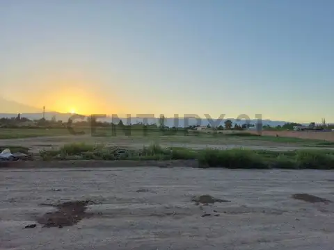 VENTA FINCA en Rodeo de la Cruz