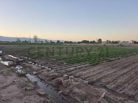 Milagros 1200, Piso 0