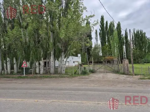 Chacra 10H en Gral Roca apta produccion
