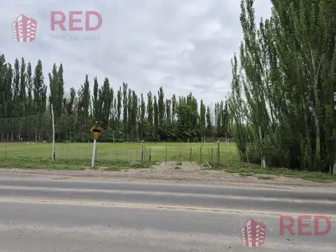 Vende Chacra 10H en Gral Roca Apta Produccion