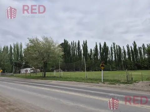 Vende Chacra 10H en Gral Roca Apta Produccion