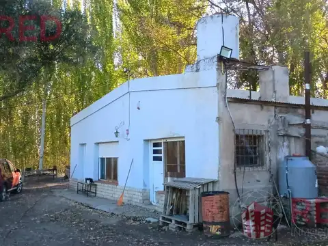 Vende Chacra 10H en Gral Roca Apta Produccion