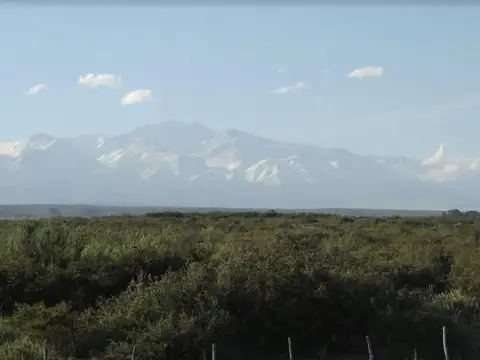 El Alamo y Ruta 89 al 100