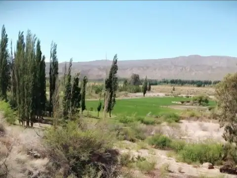 Campo en Venta de 7,69  ha