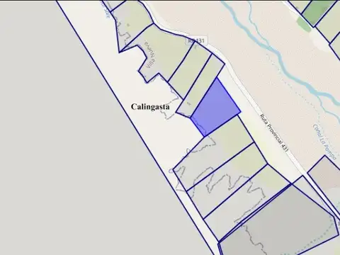 PROPIEDADES RURALES - MIXTO - CALINGASTA