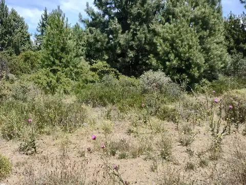 Terreno en Venta de 1000,0 m2