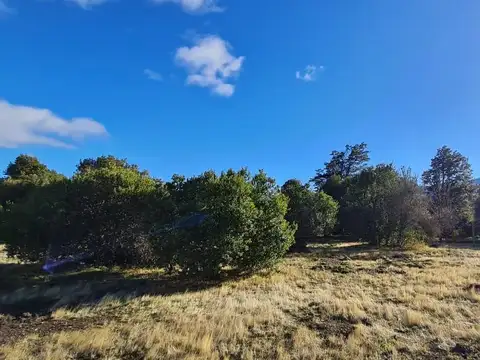 Península la vera del lago Meliquina