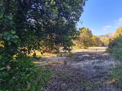 Terreno en Venta de 1650,0 m2