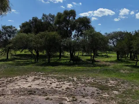 LOTE  CON FONDO AL GOLF EN VENTA B° VALLE DEL GOLF