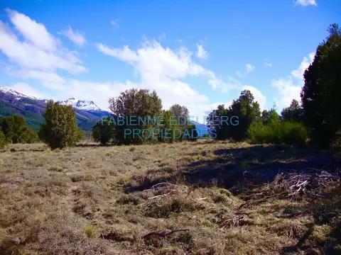 Lote en Meliquina a 100 m de la ruta | Plano y con asfalto en desarrollo - Villa Lago Meliquina