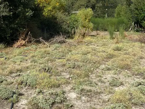 Terreno en Venta 20  mts Frente