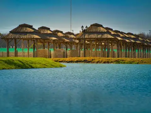 Calle Camino A Navarro