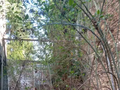 General Manuel Belgrano 500