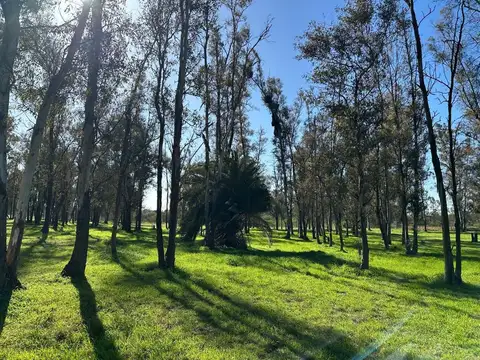 CHACRAS EN VENTA DE 3.000 M² EN CHACRAS DEL RINCÓN