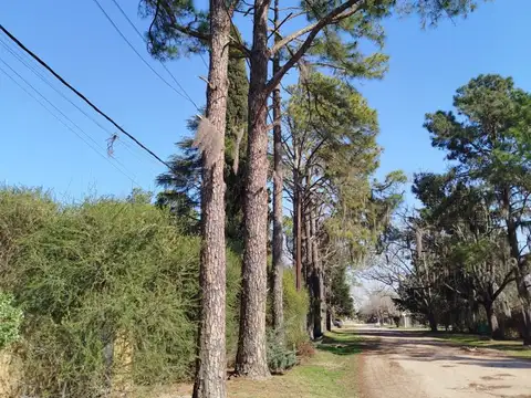 Terreno en Venta de 600,0 m2