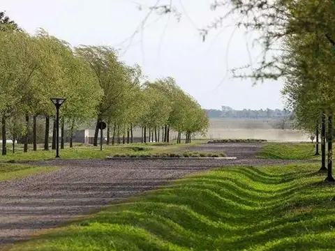 Club de Campo El Mirador