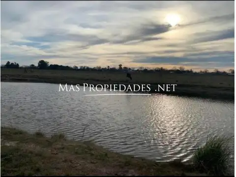 Terreno en Venta 20  mts Fondo