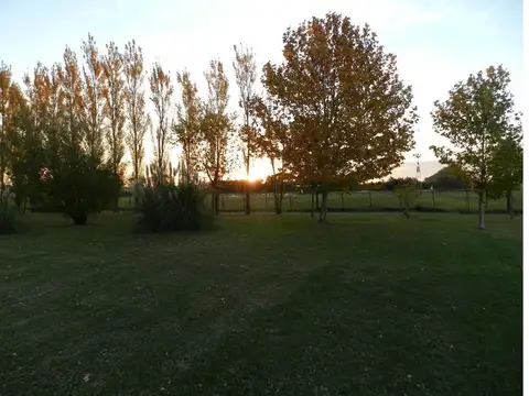 Terreno en Venta en Carmen de Areco, USD 90.000