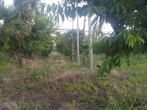 Quinta en Venta en Rama Caida, USD 46.000