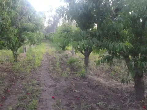 RUTA 143 500