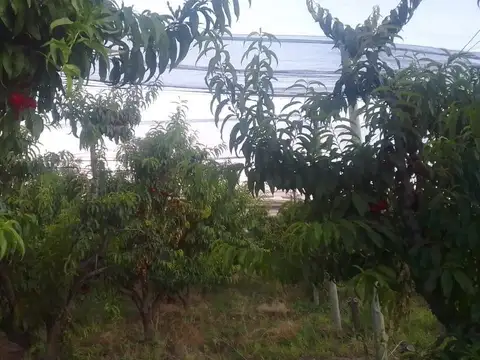 Venta Oportunidad Única: Finca Productiva con Potencial Turístico en Rama Caída