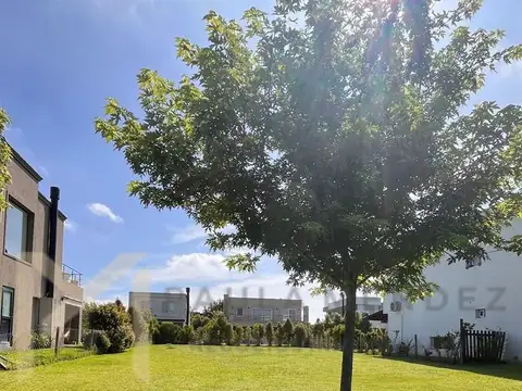 Tipas - Nordelta 200