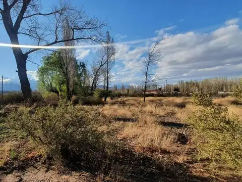 OPORTUNIDAD DE INVERSIÓN CAMPO ZONA CORDILLERANA