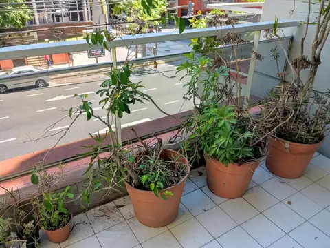 Departamento 2 ambientes con 1 baño