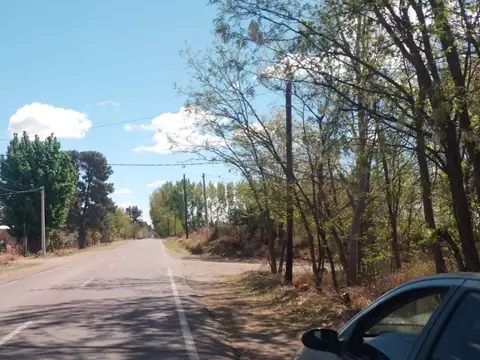 Terreno en Venta de 80498,0 m2
