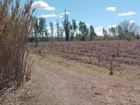 Venta Terreno 8HA en General Alvear Mendoza