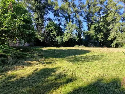 Zeballos al 1200