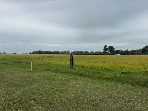 Campo con gran casco - Gran casa principal